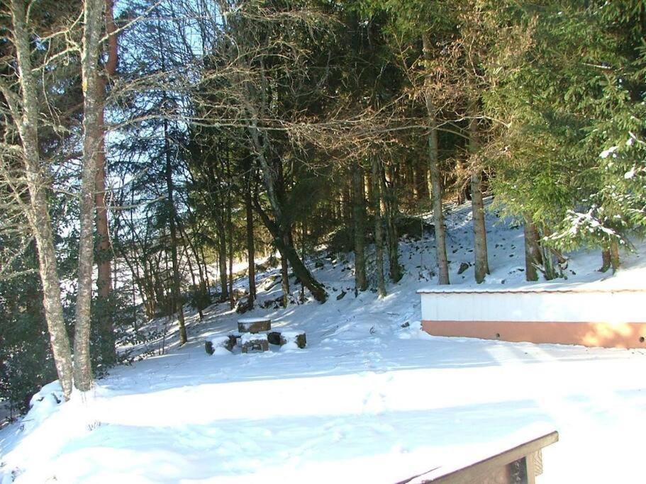 Maison D'Altitude Avec Vue Panoramique A Gerardmer Ngoại thất bức ảnh