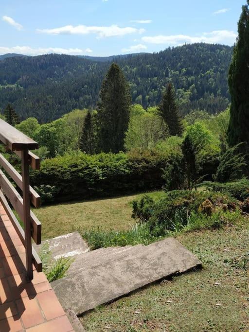 Maison D'Altitude Avec Vue Panoramique A Gerardmer Ngoại thất bức ảnh