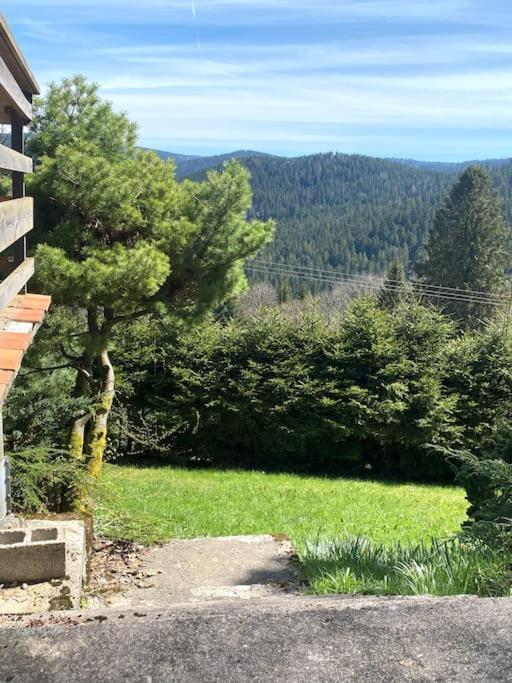 Maison D'Altitude Avec Vue Panoramique A Gerardmer Ngoại thất bức ảnh